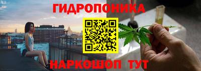 мяу мяу мука Гусев