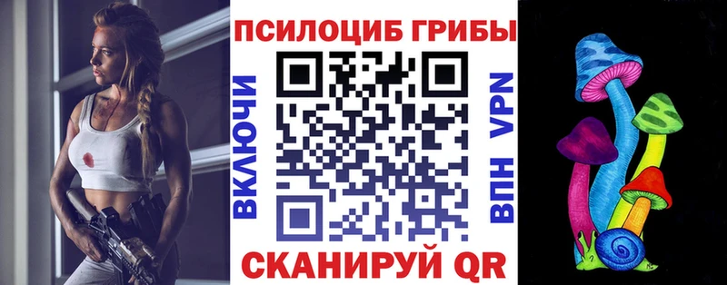 продажа наркотиков Чебоксары Псилоцибиновые грибы Magic Shrooms