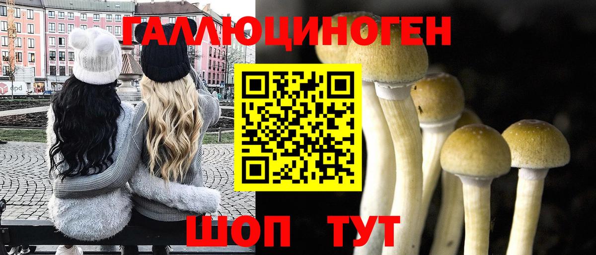 Псилоцибиновые грибы Psilocybe  Вход с VPN  Чебоксары 