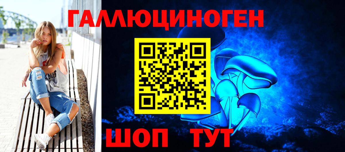 Псилоцибиновые грибы Psilocybe Чебоксары