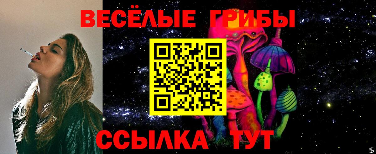 Псилоцибиновые грибы Psilocybine cubensis Чебоксары